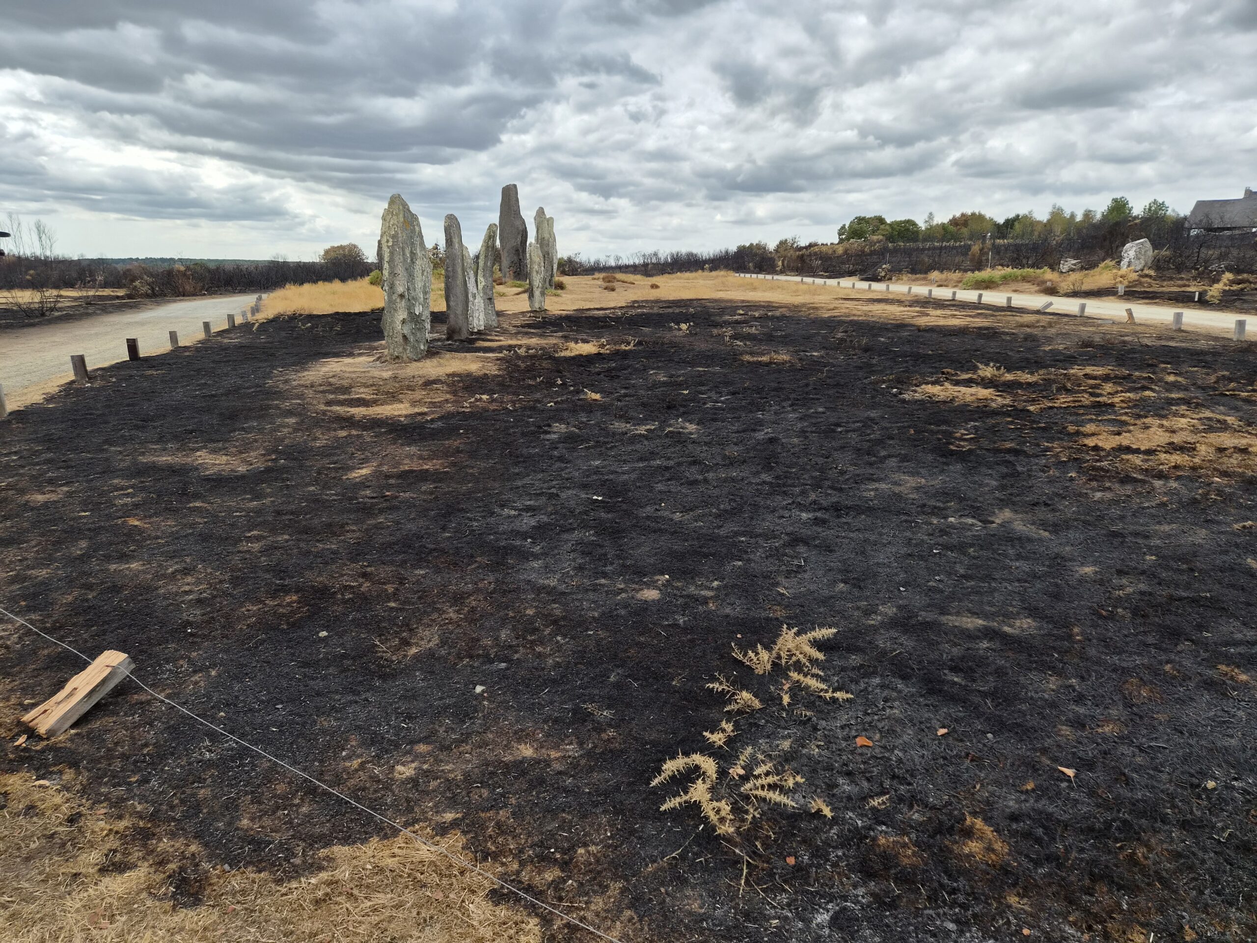 Visite de l&rsquo;ENS des Mégalithes et Landes de Saint-Just suite à l&rsquo;incendie